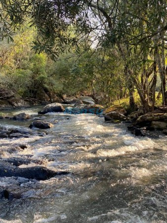 Chacra de 12 hectareas en VENTA en OBERA