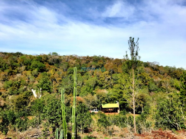 Chacra de 12 hectareas en VENTA en OBERA