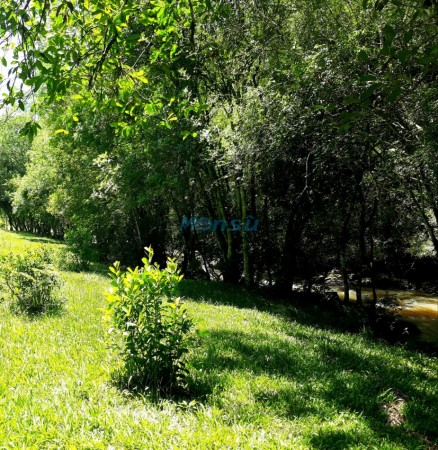 Chacra de 12 hectareas en VENTA en OBERA