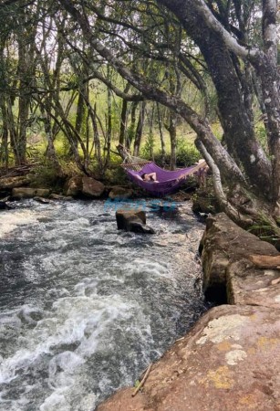 Chacra de 12 hectareas en VENTA en OBERA