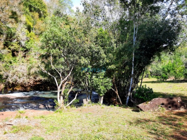 Chacra de 12 hectareas en VENTA en OBERA