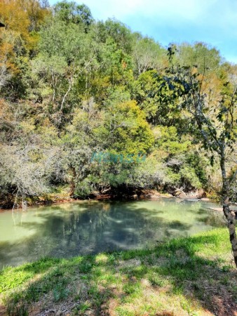 Chacra de 12 hectareas en VENTA en OBERA