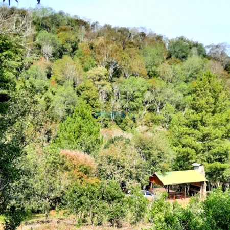 Chacra de 12 hectareas en VENTA en OBERA