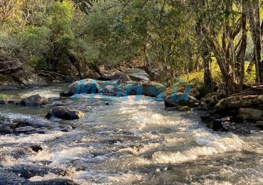 Chacra de 12 hectareas en VENTA en OBERA